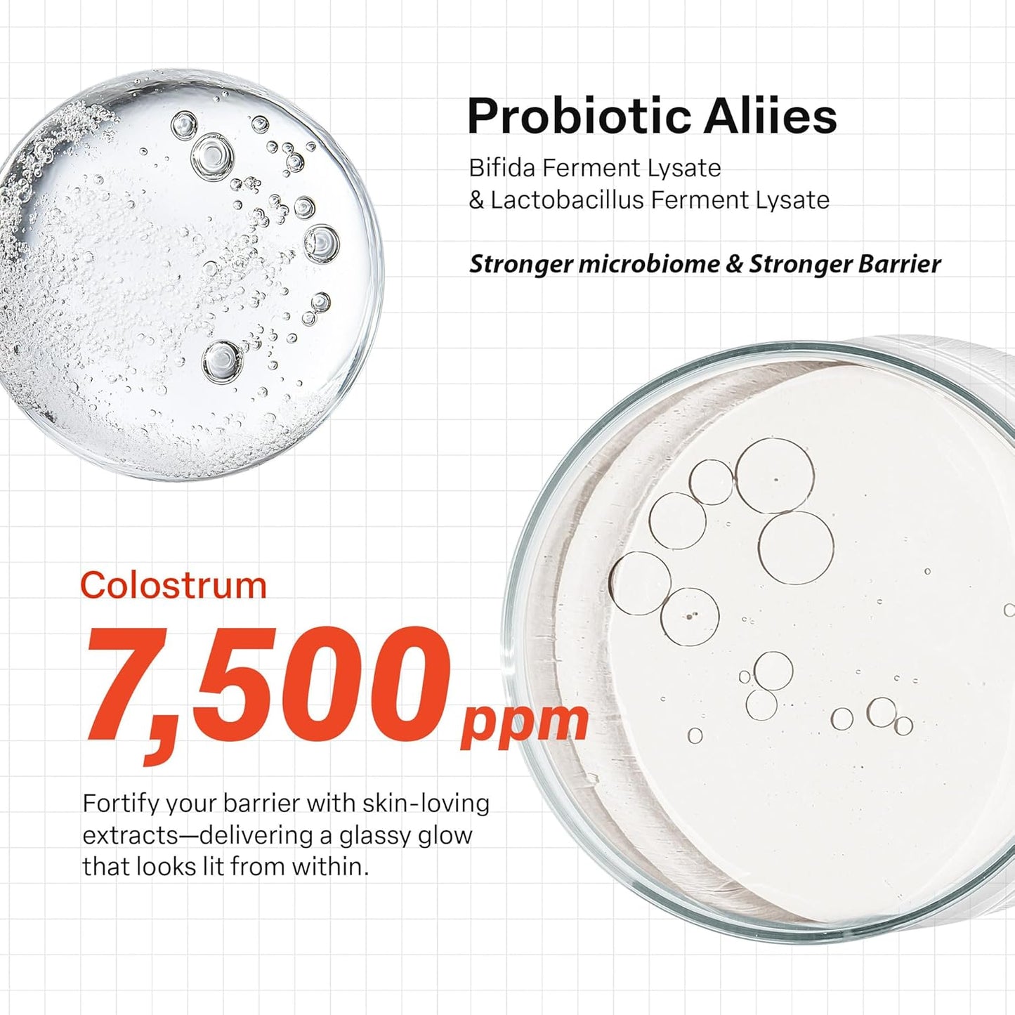 PURCELL - 24/7 Colostrum Pore Defence Ampoule