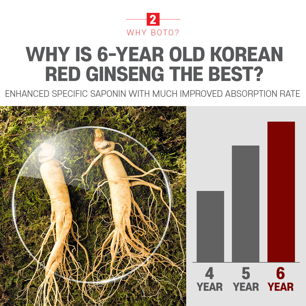 BOTO Korean Red Ginseng Extract Pure Stick Gold