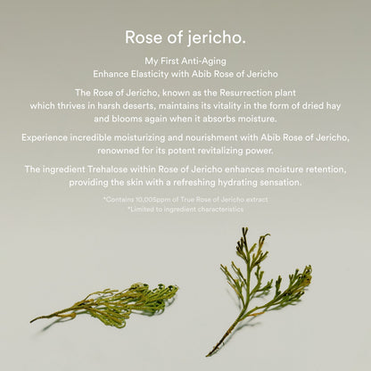 Abib Collagen eye crème Jericho rose tube