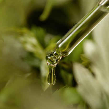 I'm from Mugwort Serum