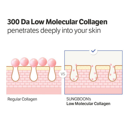 SUNGBOON EDITOR Deep Collagen Anti-wrinkle Cream In Serum