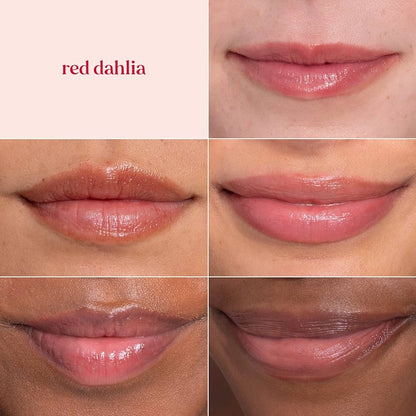 Burt's Bees Lip Tint Balm