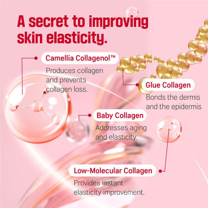ROUND LAB Camellia Deep Collagen Firming Cream