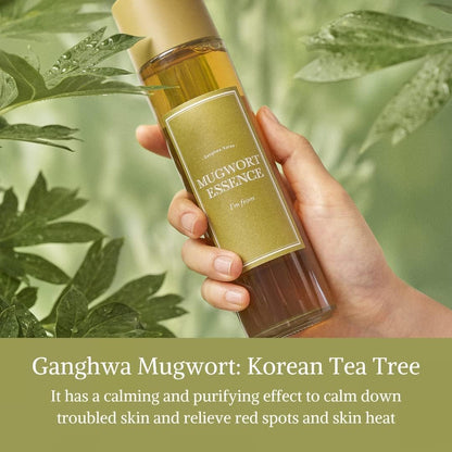 I'm from Mugwort Essence Mini