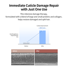 GROWUS Damage Therapy No-Wash Treatment EX