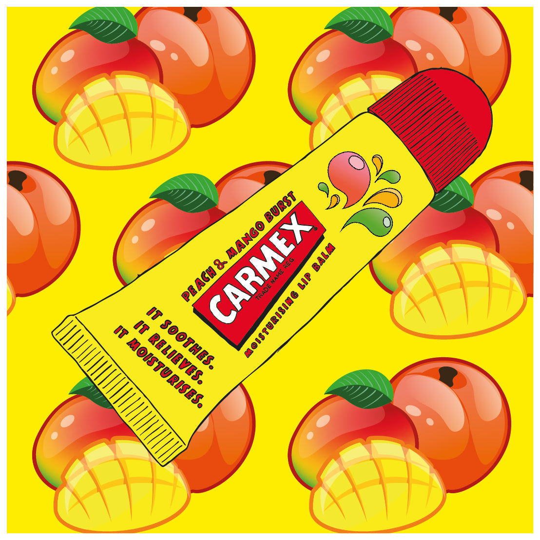 Carmex Moisturising Lip Balm