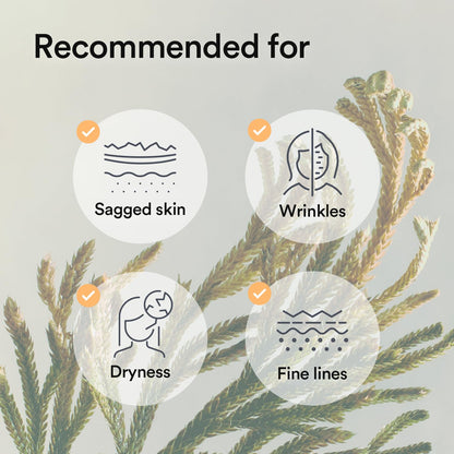 Abib Collagen Gel Mask Jericho Rose Jelly