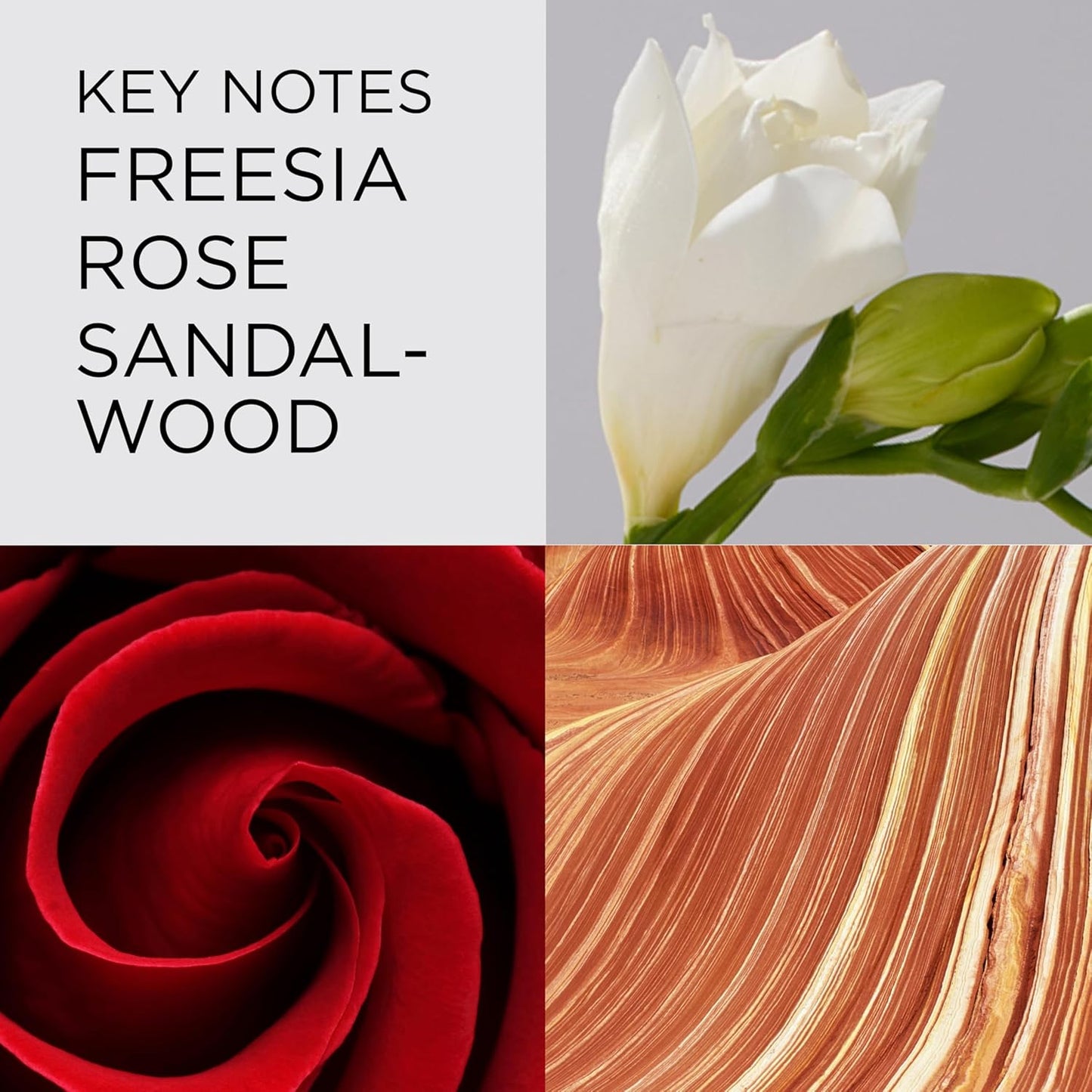 Elizabeth Arden Red Door Women's Perfume Fragrance Floral Parfum Eau de Toilette