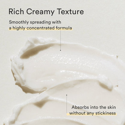 Abib Jericho Rose Crème Nutrition Tube
