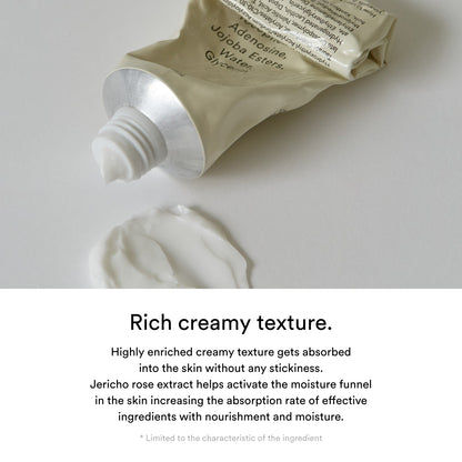 Abib Jericho Rose Crème Nutrition Tube
