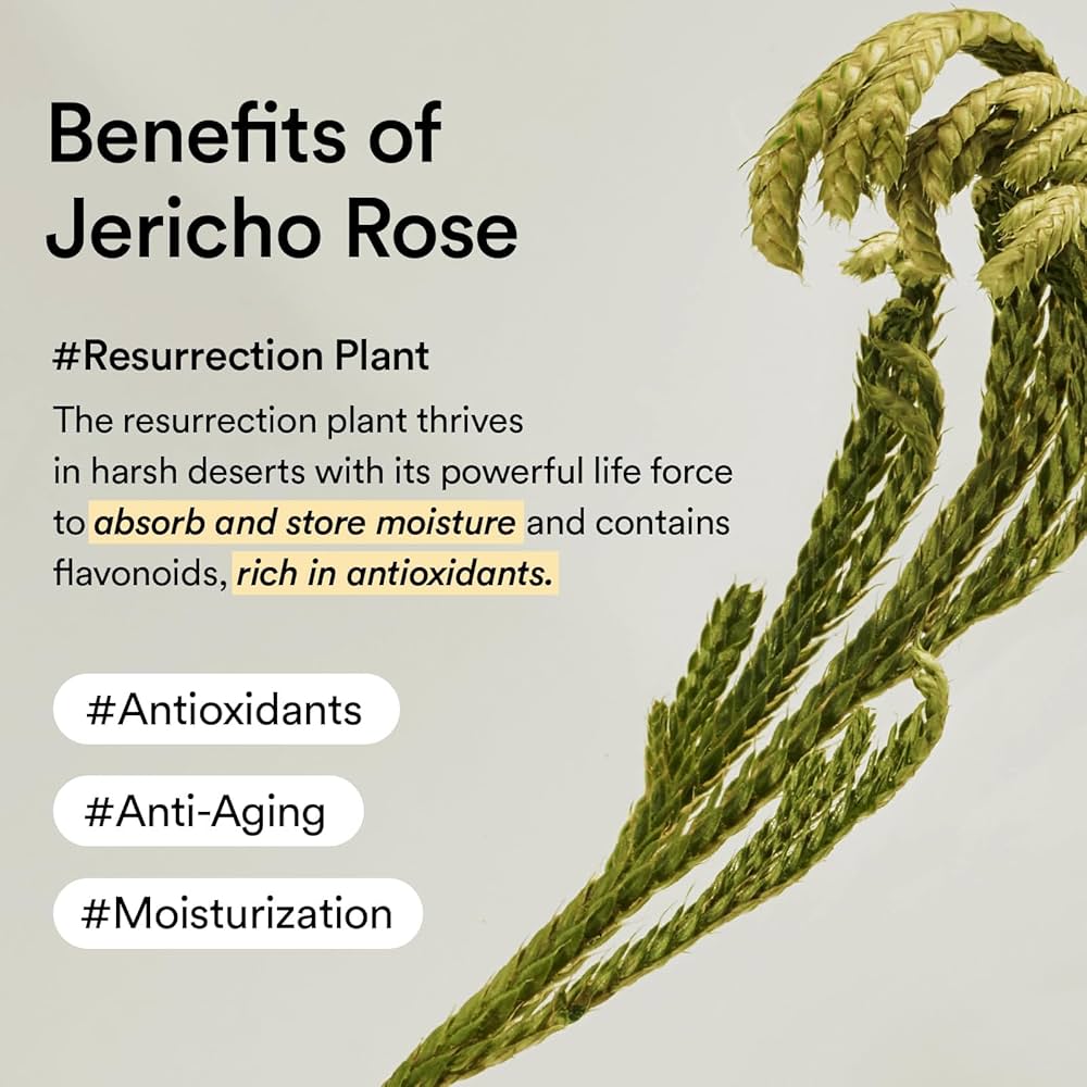 Abib Collagen Eye Patch Jericho Rose Jelly Patches, 60