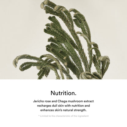 Abib Jericho Rose Crème Nutrition Tube